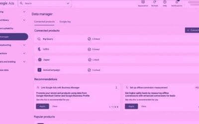 A Deep Dive Into Google’s New “Ads Data Manager”